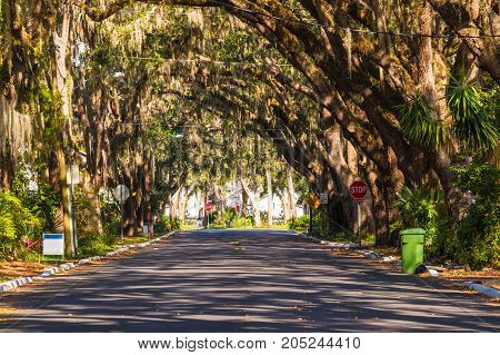 View of Magnolia Ave in Saint Augustine in sunny day Florida USA