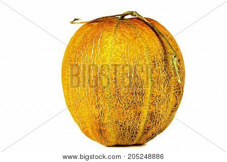Melon Isolated On White Clipping Path