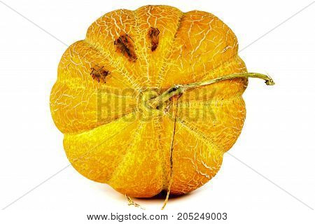 Melon Isolated On White Clipping Path