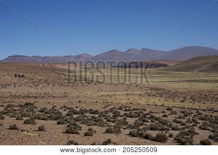 Wide valley leading to the River Lauca high on the Altiplano of northern Chile in Lauca National Park.