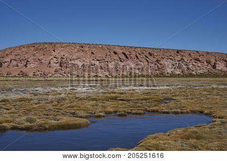 Wetland along a tributary of the River Lauca high on the Altiplano of northern Chile in Lauca National Park.