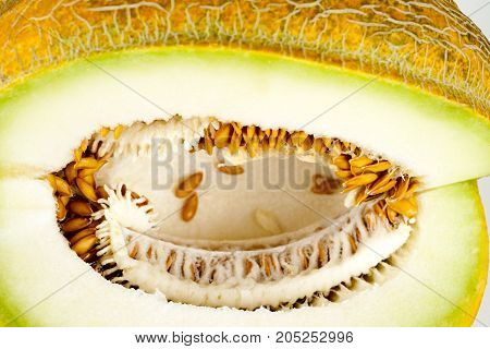 Melon Isolated On White Clipping Path