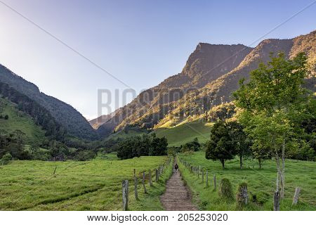 Hiker with a beautiful dramatic landscape in Cocora Valley near Salento Colombia