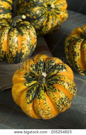 Raw Orange Conffeti Acorn Squash