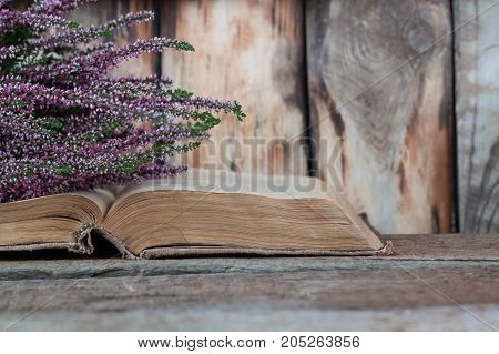 Heather on the background of old book with a copyspace