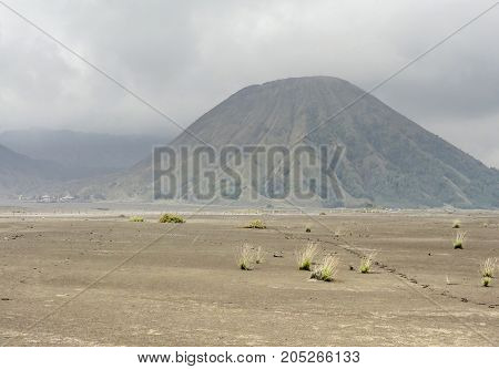 Scenery around Bromo Tengger Semeru National Park in Java a island of Indonesia