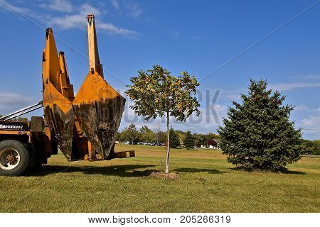 The mounted spade, jaws, and bucket are part of a tree removal  and transplanting machine dropping the tree into the hole and removing the jaws.