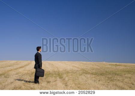 Lavorando con la natura