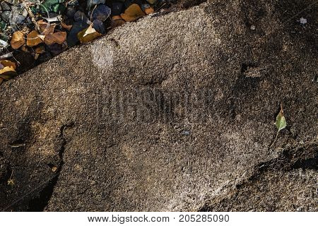 Abstract brown grunge background. Brown background. Grunge background. Grey background. Gray background. Grunge gray.