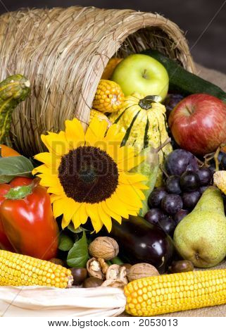 Cornucopia