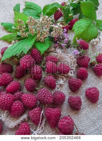Scattered on the table ripe fresh red berries of raspberries.