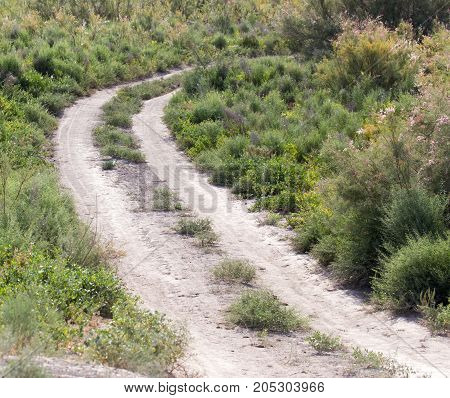 road in the steppes of Kazakhstan . In a park in the nature