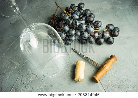 Organic Food Concept