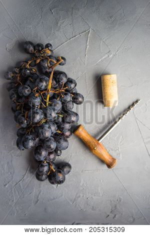 Organic Food Concept