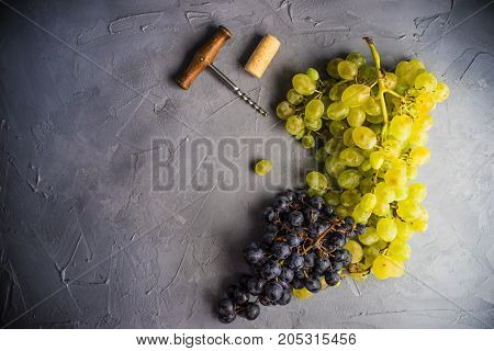 Organic Food Concept