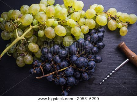 Organic Food Concept