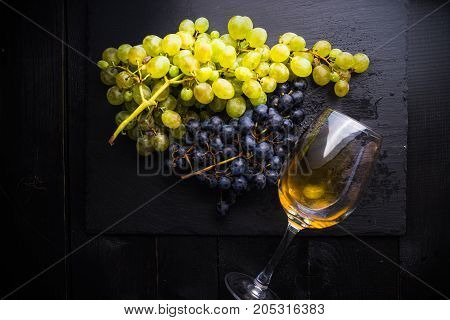 Organic Food Concept