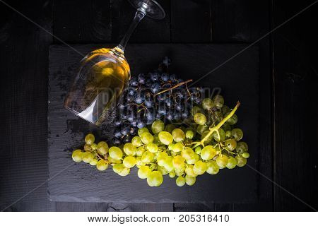 Organic Food Concept