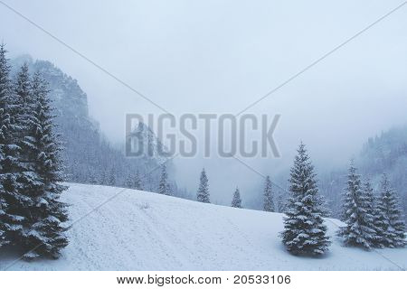 Tatra