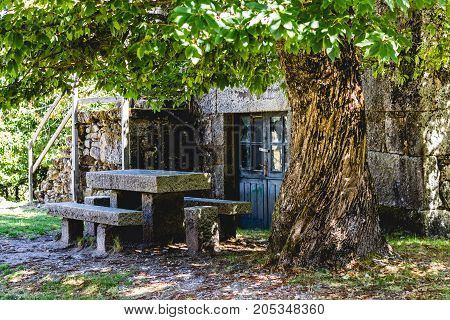 Table under a Chestnut tree in an abandoned village in Galicia Spain