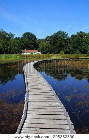 Peaceful mindful path on a wooden boardwalk