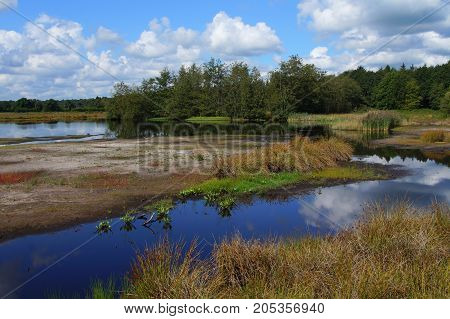 Typical Dutch wetland - Dwingelderveld, Gelderland, The Netherlands
