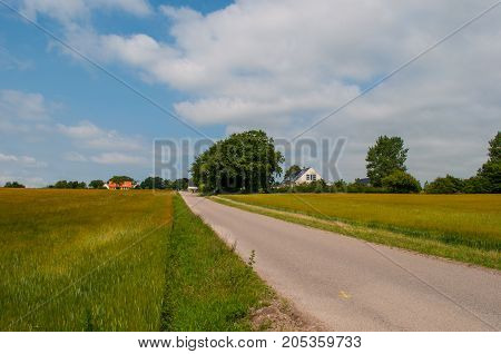 Rynkebakken Road Near Oerslev In The Danish Countryside