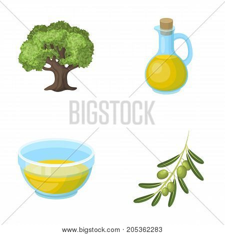 An olive tree, a branch with olives, a vessel and a jug of oil. Olives set collection icons in cartoon style vector symbol stock illustration .