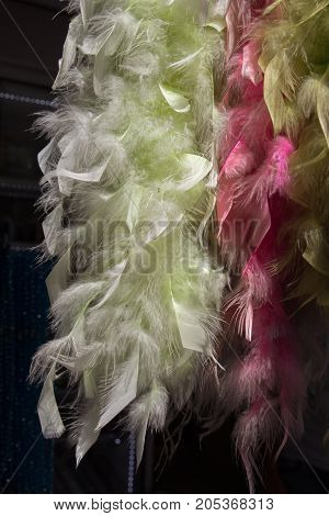 Beautiful Bird Feathers For Decorative Purposes In View