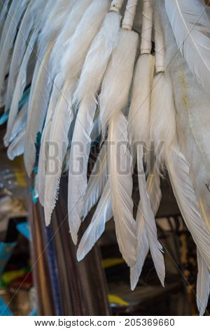 Beautiful Bird Feathers For Decorative Purposes In View