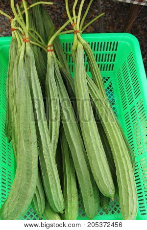 Fresh luffa acutangula for cooking in market