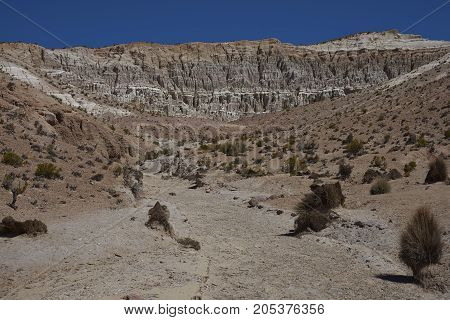 Eroded rock formations along Quebrada Chuba, a river valley high on the Altiplano of northern Chile in Lauca National Park.