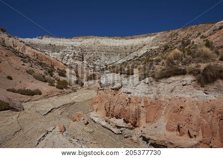 Colourful eroded rock formations along Quebrada Chuba, a river valley high on the Altiplano of northern Chile in Lauca National Park.