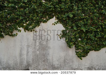 greenary