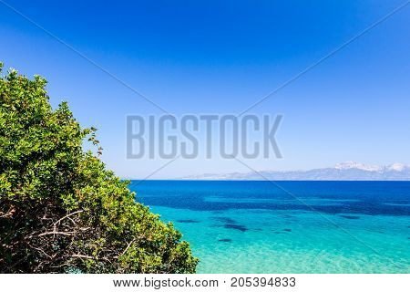 Seafloor is visible through turquoise transparent water and green vegetation on ground above.