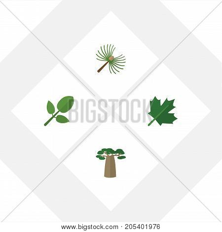Flat Icon Natural Set Of Baobab, Oaken, Rosemary And Other Vector Objects