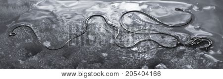 Silver chain with a pendant on the ice.