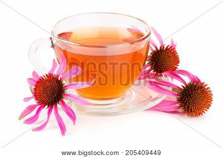 Echinacea tea isolated on white background. Medicinal tea.