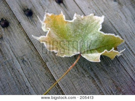 Frost