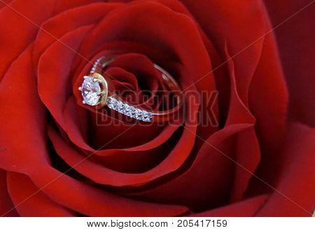 Big ring for engagement with zircons as a suprise for woman suitable as a portrait or background for wedding annoucement