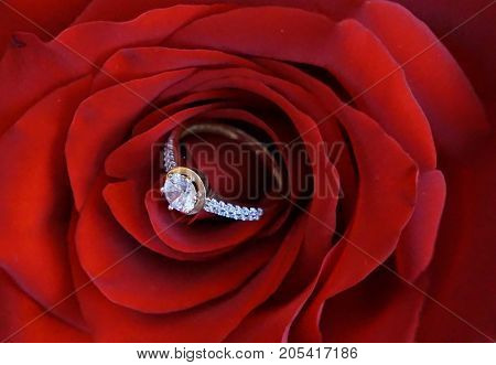 Big ring for engagement with zircons as a suprise for woman suitable as a portrait or background for wedding annoucement