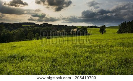 Sunlights behind the tree on green meadow in sunny day with amazing sky with clouds.