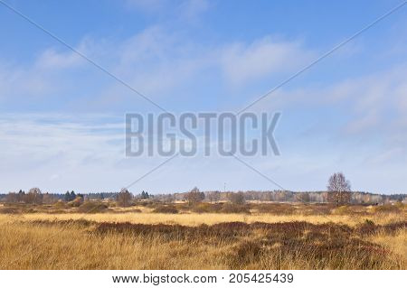 Moor Landscape, Eifel