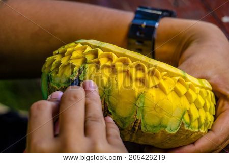 Thailand the  carved pumpkin with on hand