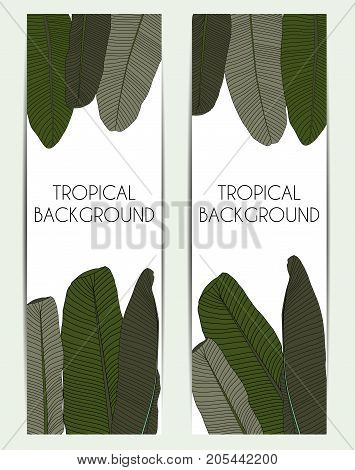Beautifil Palm Tree Leaf Tropical Silhouette Background Vector Illustration EPS10