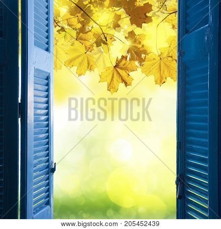 room with open blue window shutters to - fall garden with yellow leaves and green grass