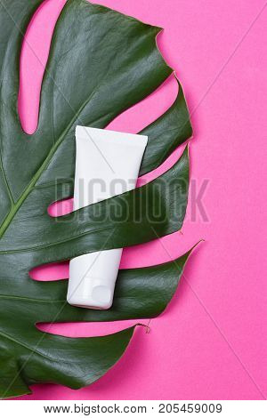 Cosmetic bottle containers with green herbal leaves on the pink background