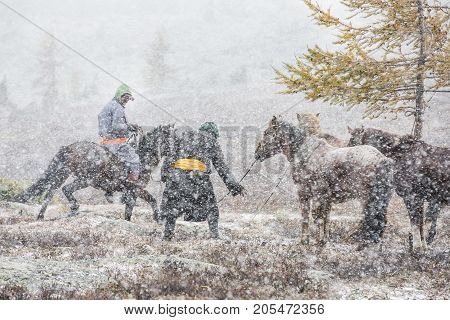 mongolian horsemen with their horses in a snow storm in northern Mongolia