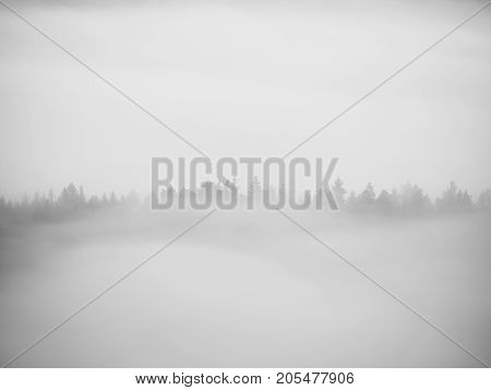View Into Misty Valley. High Trees And Rocky Peaks Increased From Thick Fog.  The First Sun Rays