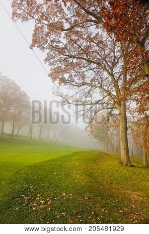 Fog over a golf course during beautiful autumn morning.